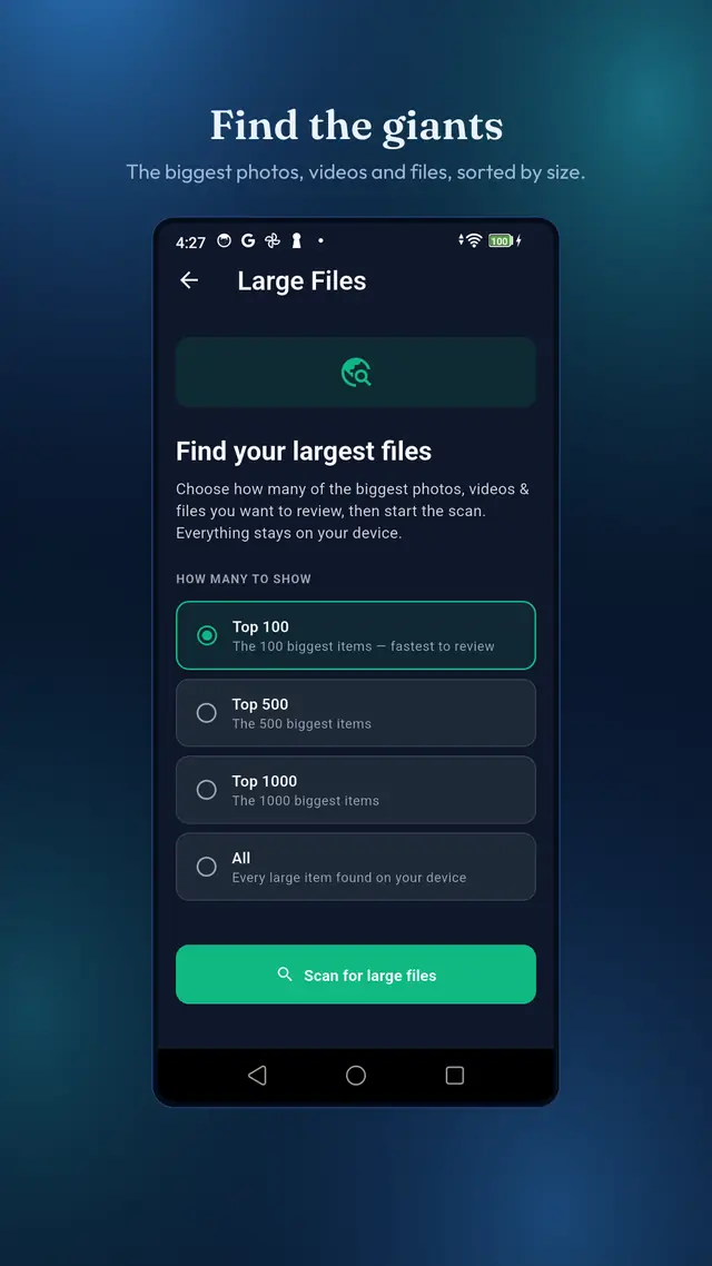 Sweeply large file scan options